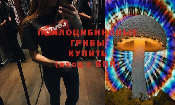 ПСИЛОЦИБИНОВЫЕ ГРИБЫ Покровск