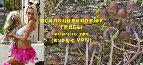 2c-b Покачи