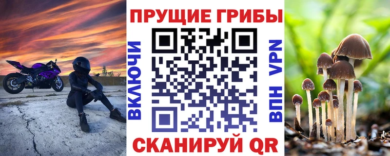 Галлюциногенные грибы GOLDEN TEACHER  даркнет сайт  Кунгур 