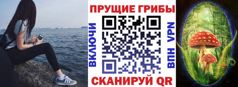 Галлюциногенные грибы ЛСД Кунгур