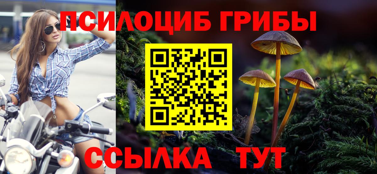 Галлюциногенные грибы прущие грибы  Псилоцибиновые грибы Psilocybine cubensis  Вход с VPN  Кунгур 